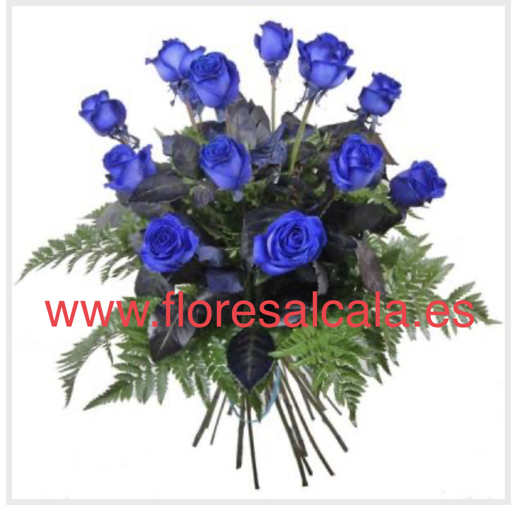 12 Rosas azules - Flores Alcalá - Alcalá de Henares